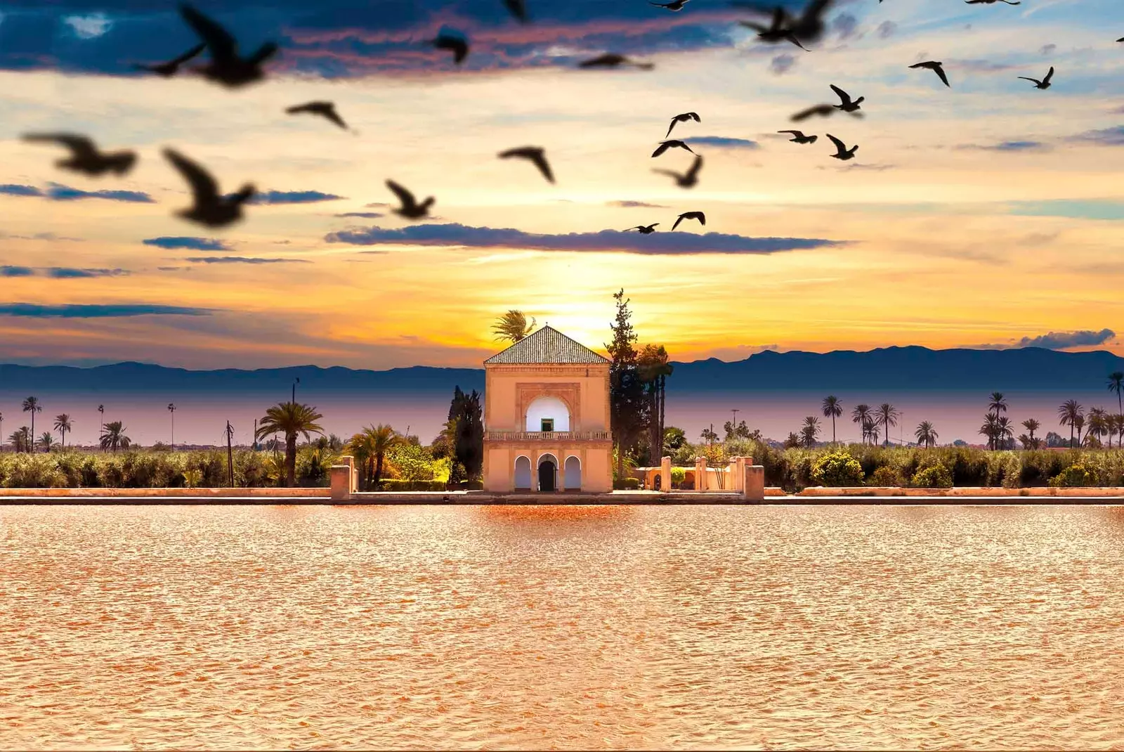 jardin de la menara de marrakech