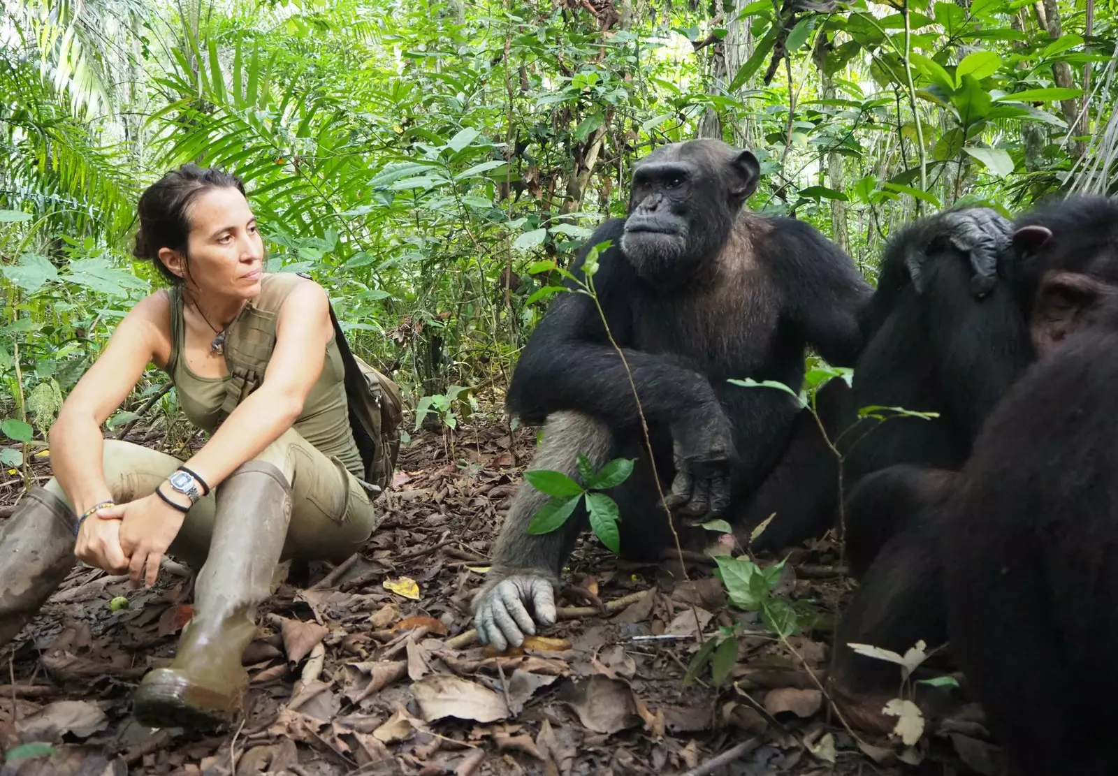 De Galicische Rebeca Atencia is al 16 jaar directeur van het Jane Goodall Institute.