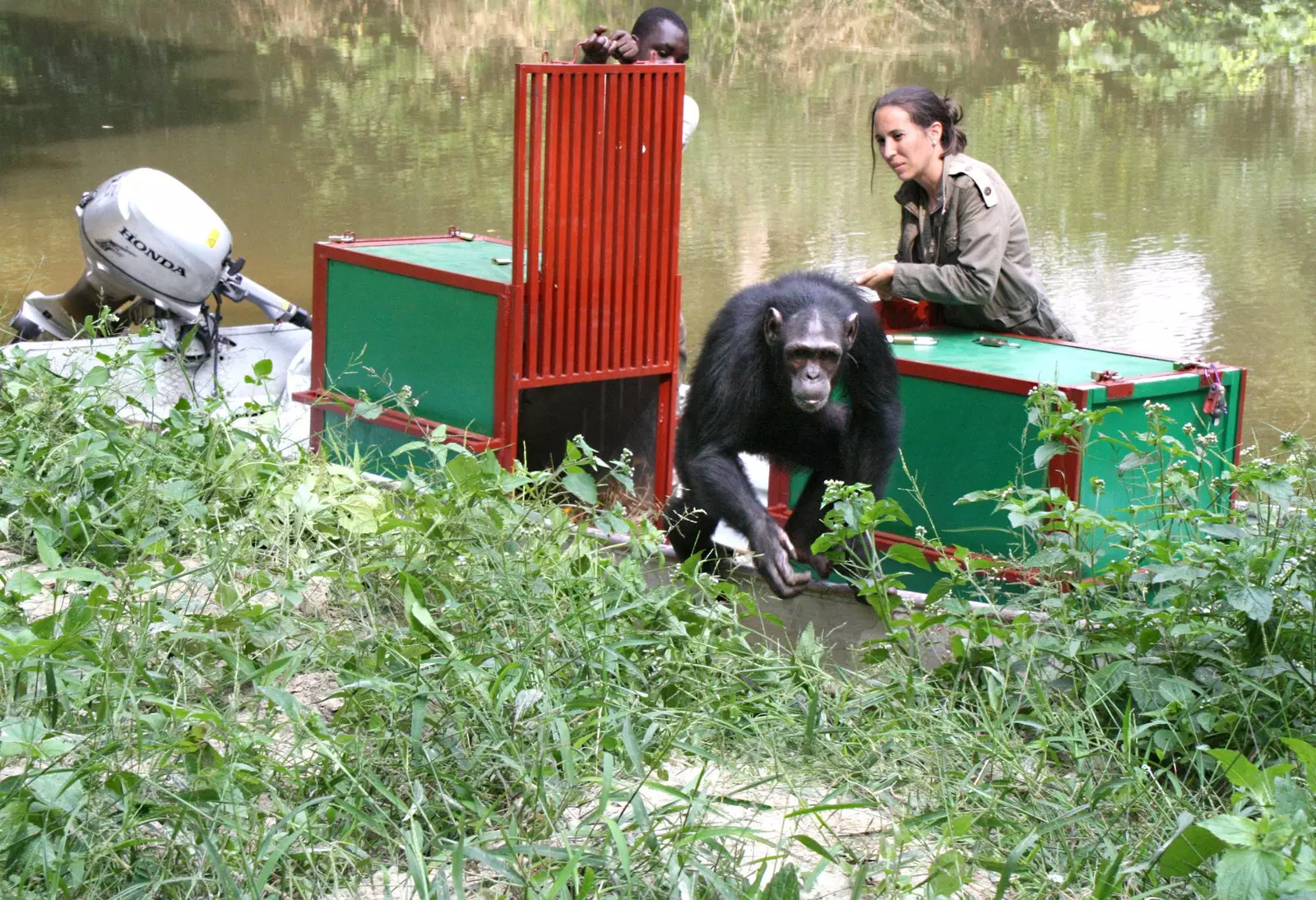 Rebeca accompagna Likabou nel suo primo viaggio all'estero.