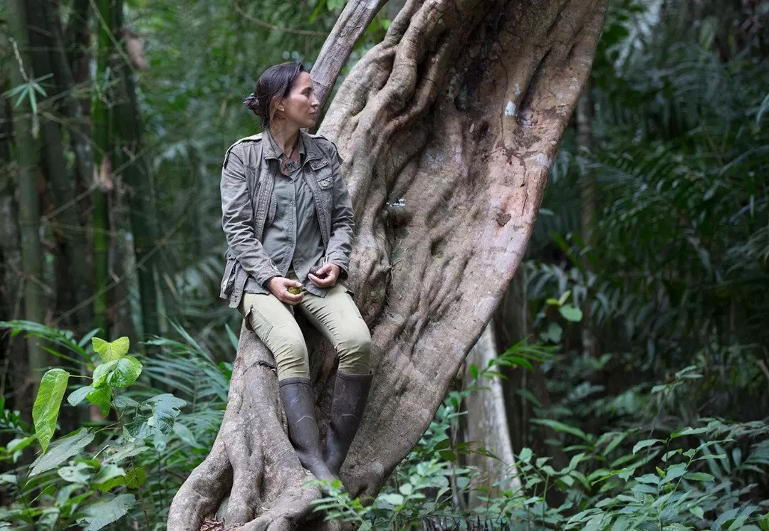 Agora a selva é o espaço de conforto de Rebeca.