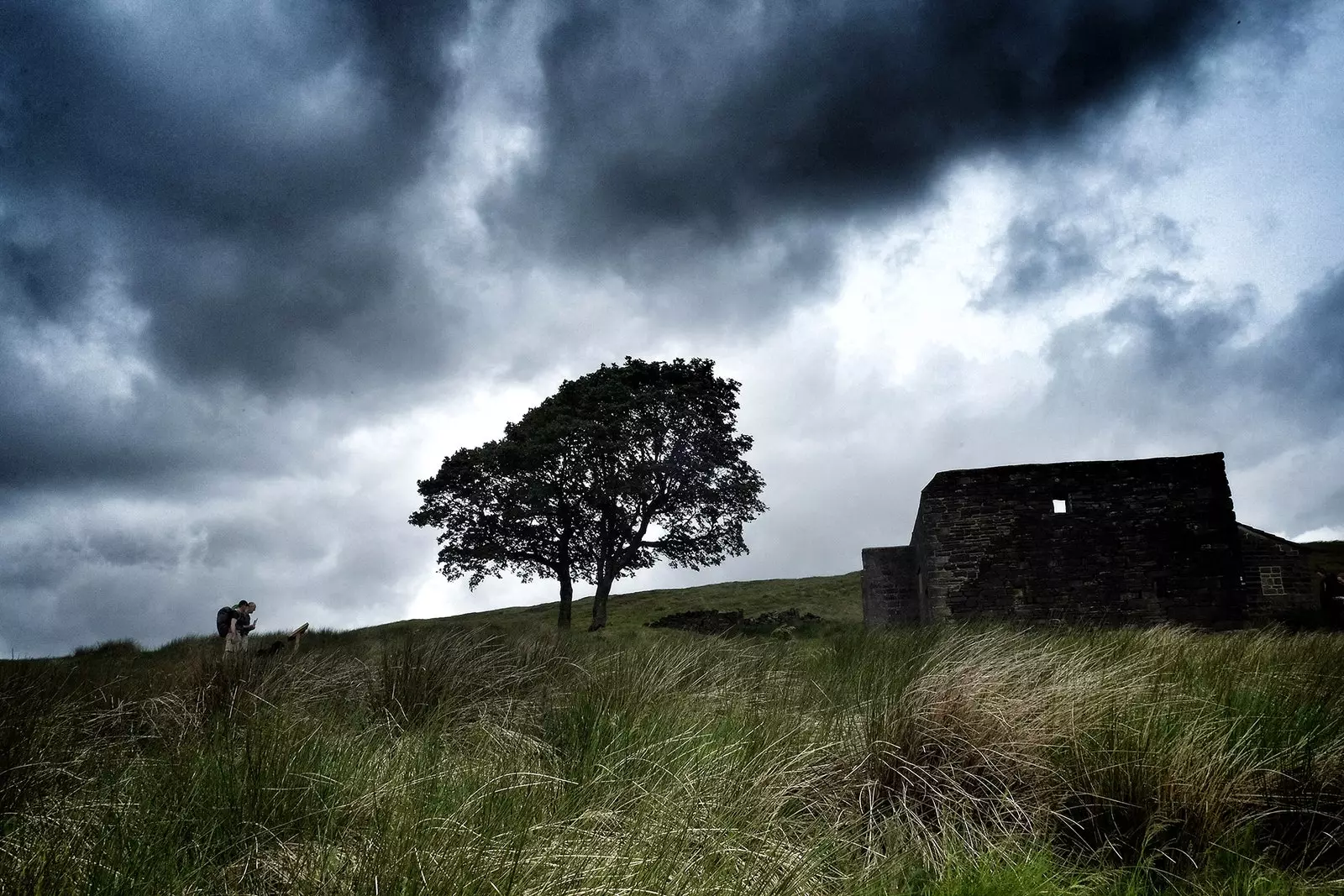 The Moors or the Wuthering Heights της Έμιλυ Μπροντέ