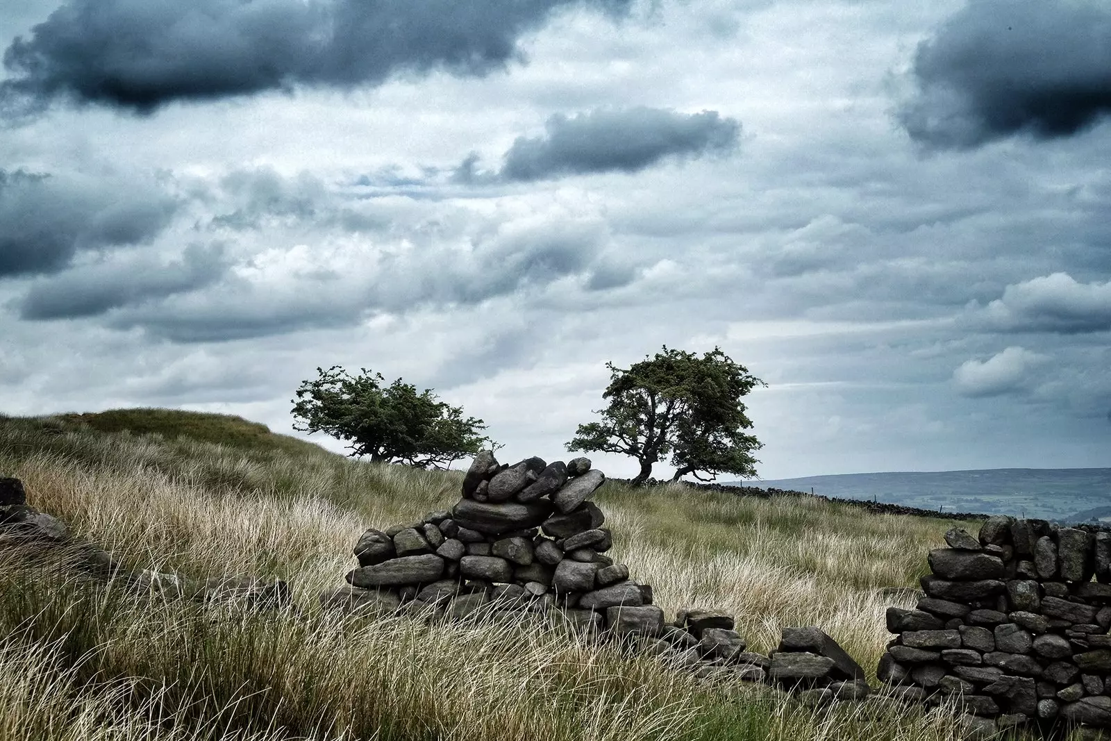 Rovine nelle terre desolate