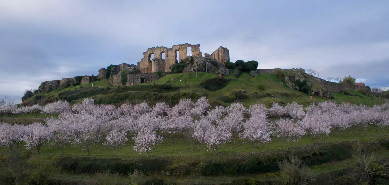 Almond Blossom Festival Portugal