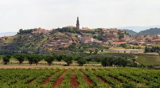 Landskapet i Finca Allende