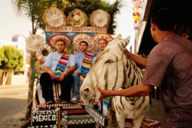 Tijuana wazimu wa Mexico