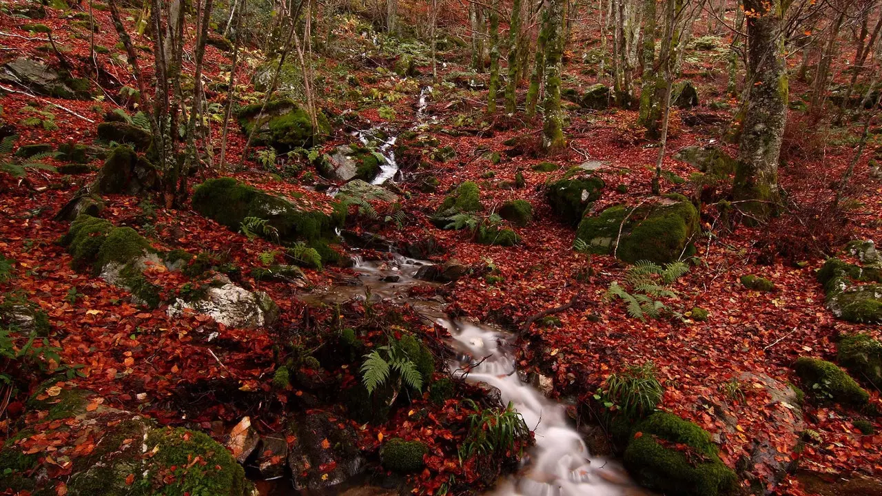 Traseul de toamnă într-un cadru de basm este în El Bierzo