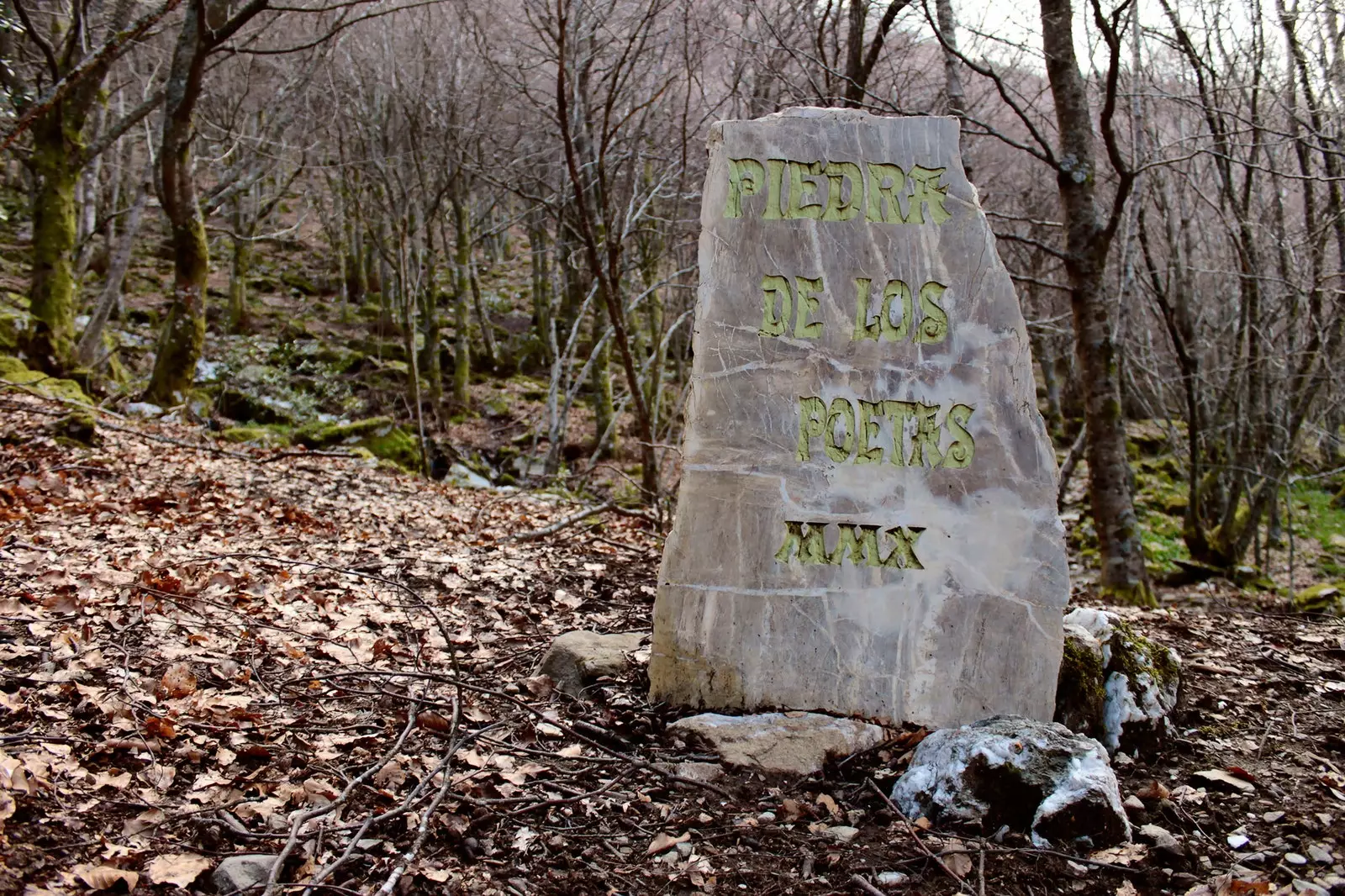 Beech Forest Busmayor El Bierzo Leon