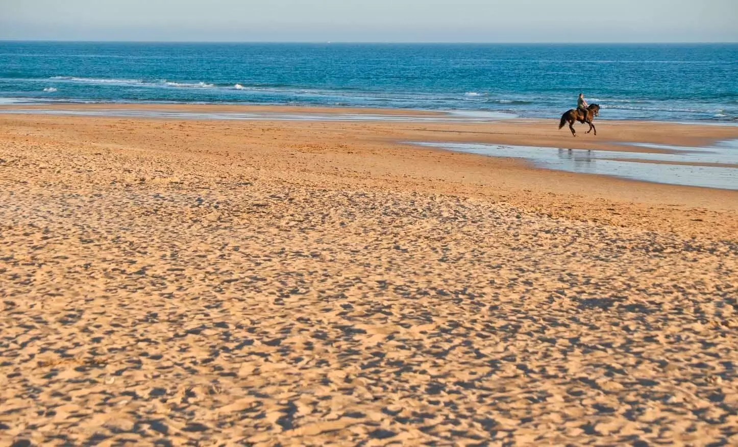 Strand von El Palmar mit Pferd und Reiter