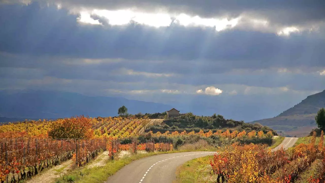 Turiżmu tal-inbid għall-gourmets: il-katidral tal-inbid