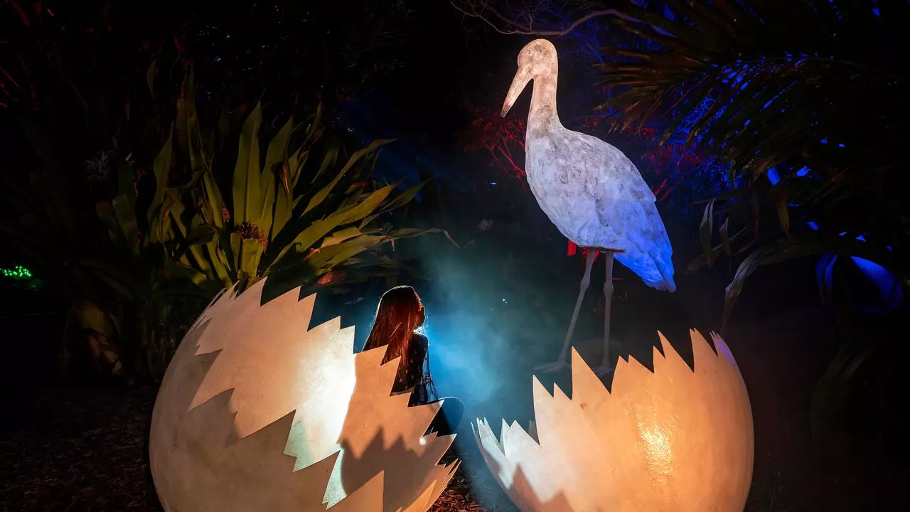 'Nature On': l'esperienza immersiva che ha reinventato le luci di Natale è già a Barcellona