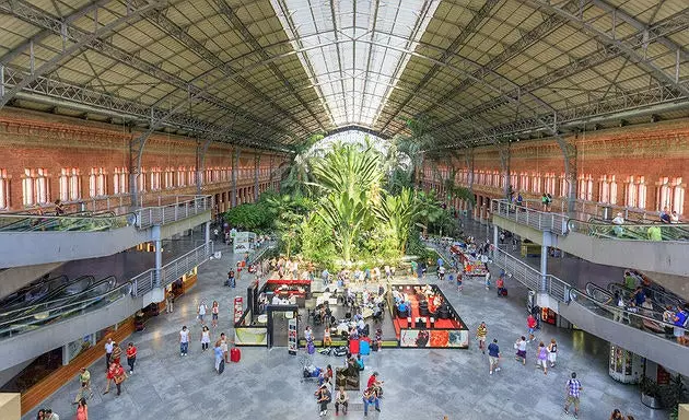 De tropische tuin van het station Atocha.