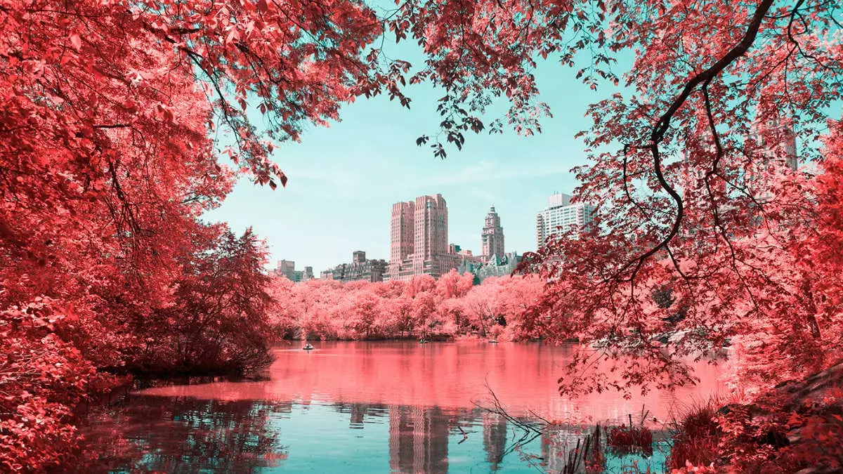 セントラルパークを巨大な綿菓子に変える写真プロジェクト「Infrared NYC」