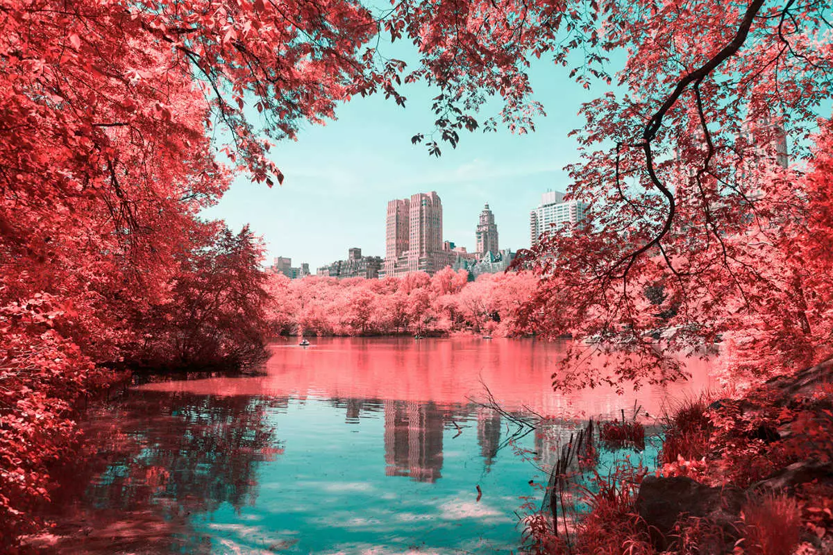 Central Park'ı devasa bir pamuk şekere dönüştüren fotoğraf projesi 'Kızılötesi NYC'