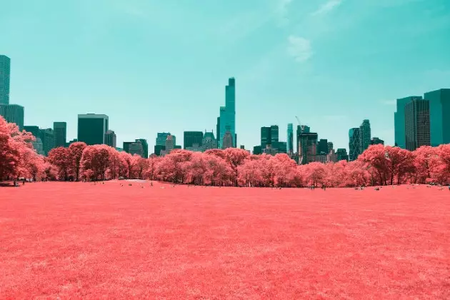 Central Park'ı devasa bir pamuk şekere dönüştüren fotoğraf projesi 'Kızılötesi NYC'