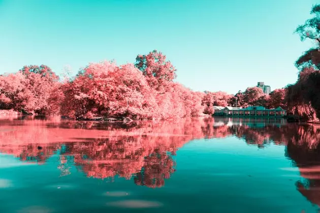 'Infrared NYC' o projeto fotográfico que transforma o Central Park em um enorme algodão doce