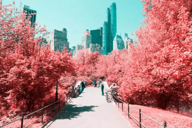 Central Park'ı devasa bir pamuk şekere dönüştüren fotoğraf projesi 'Kızılötesi NYC'