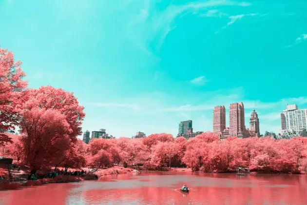 Central Park'ı devasa bir pamuk şekere dönüştüren fotoğraf projesi 'Kızılötesi NYC'