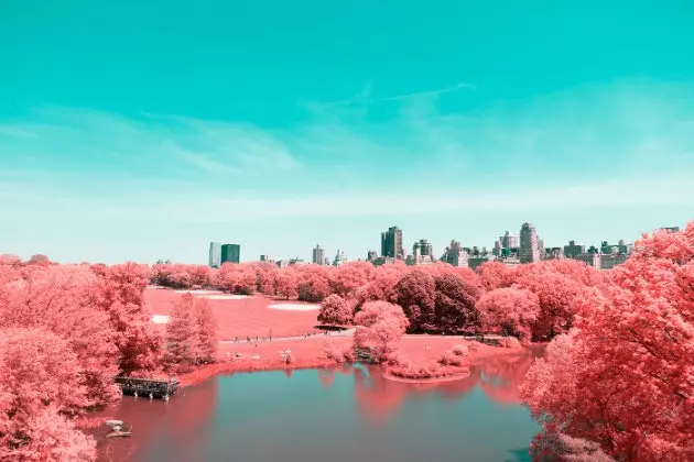 Central Park'ı devasa bir pamuk şekere dönüştüren fotoğraf projesi 'Kızılötesi NYC'