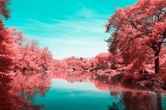 Fotografický projekt „Infrared NYC“, ktorý premení Central Park na obrovskú cukrovú vatu