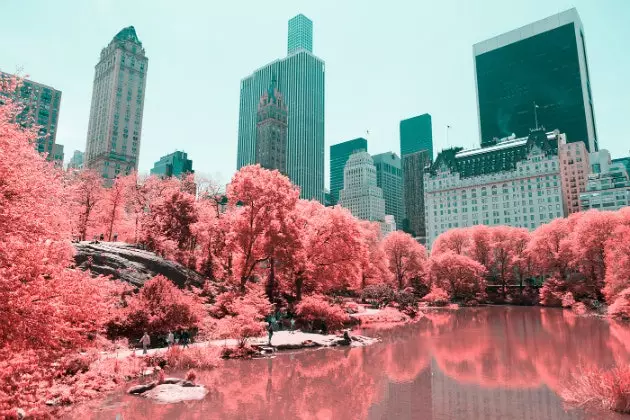 Central Park'ı devasa bir pamuk şekere dönüştüren fotoğraf projesi 'Kızılötesi NYC'