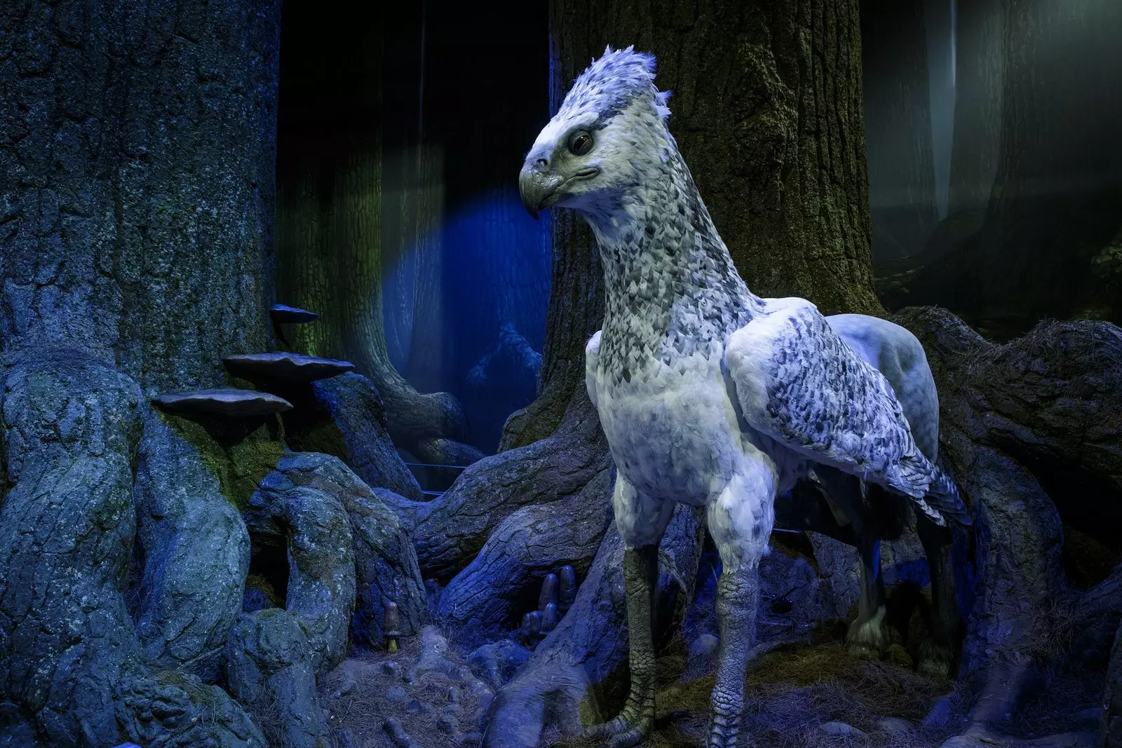 Hippogriff