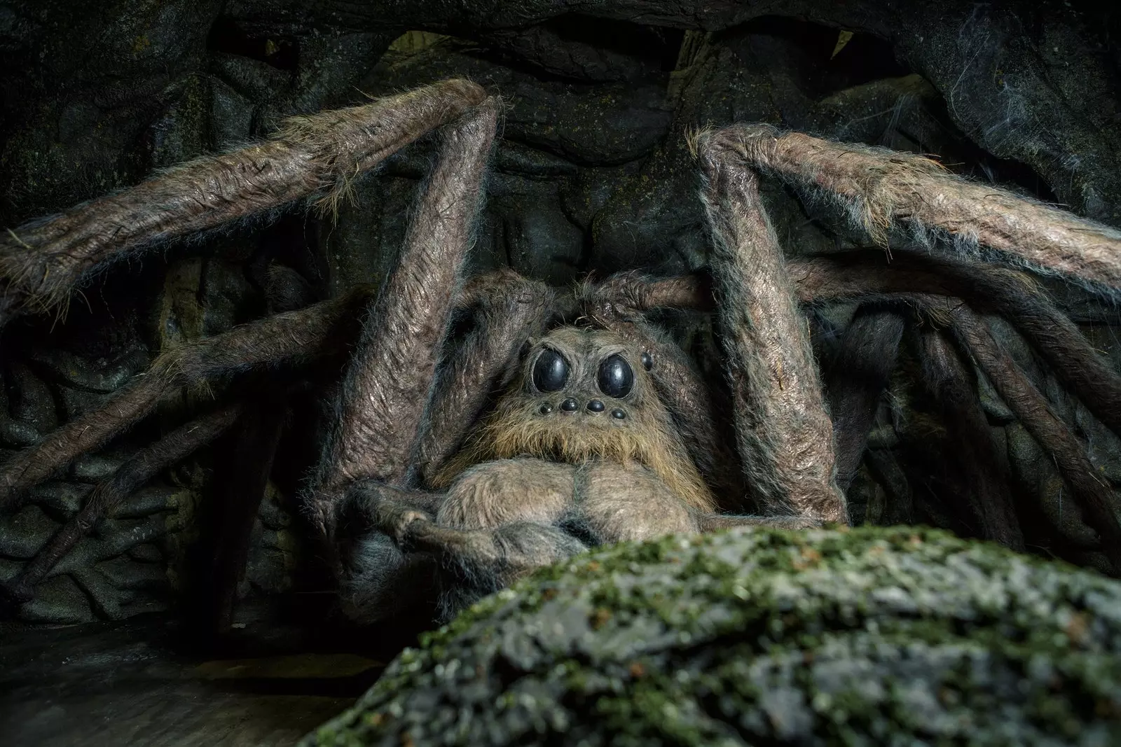 Aragog