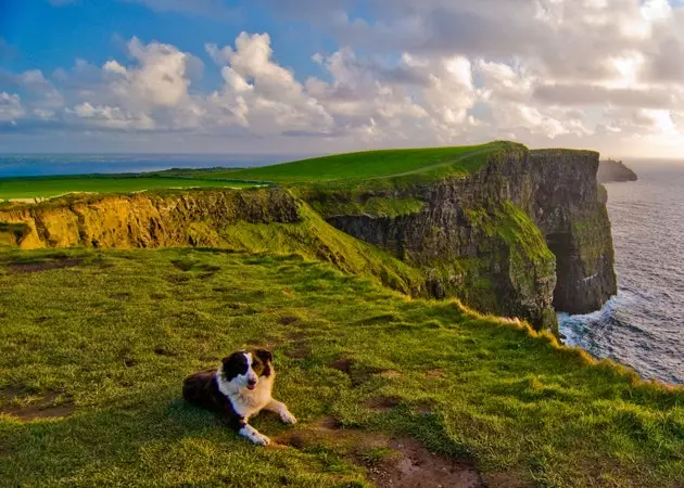 Falaises de Moher