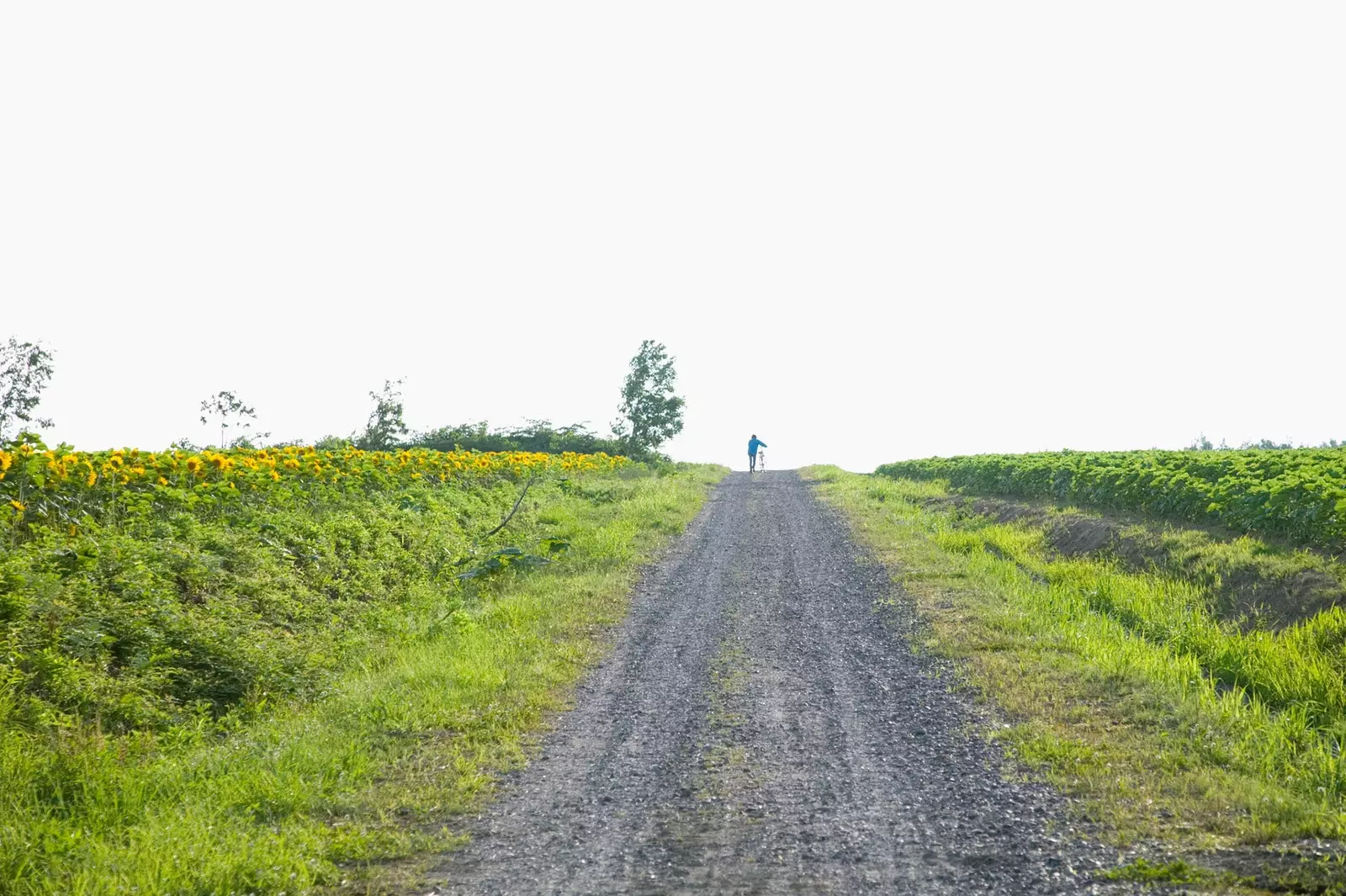 vélo et route