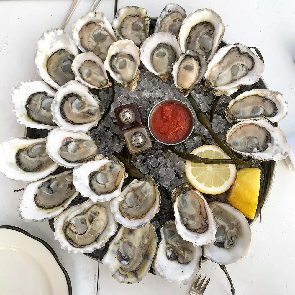 Oysters The love story you didn't know between New York and this bivalve mollusk