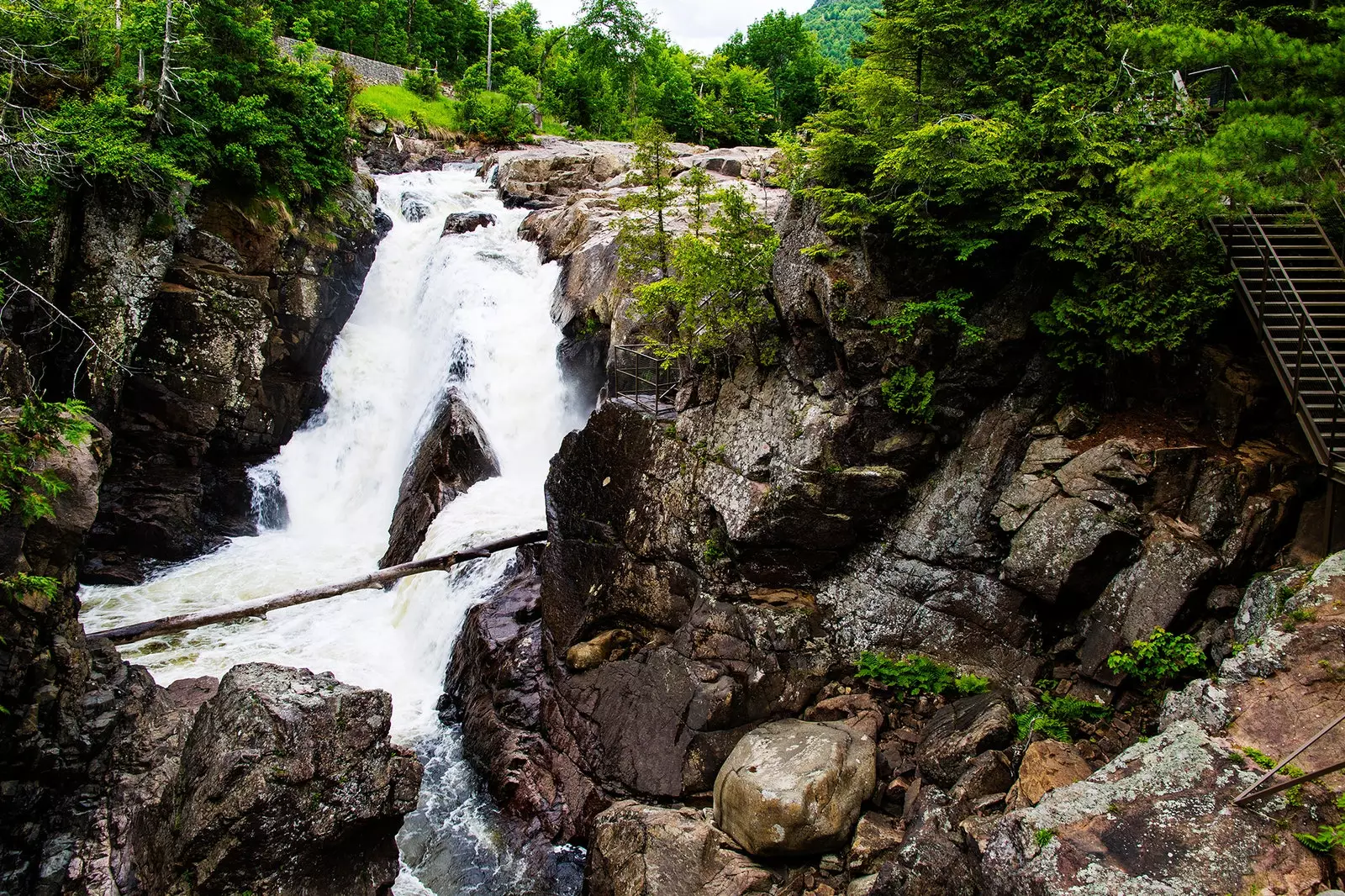 Höga Falls