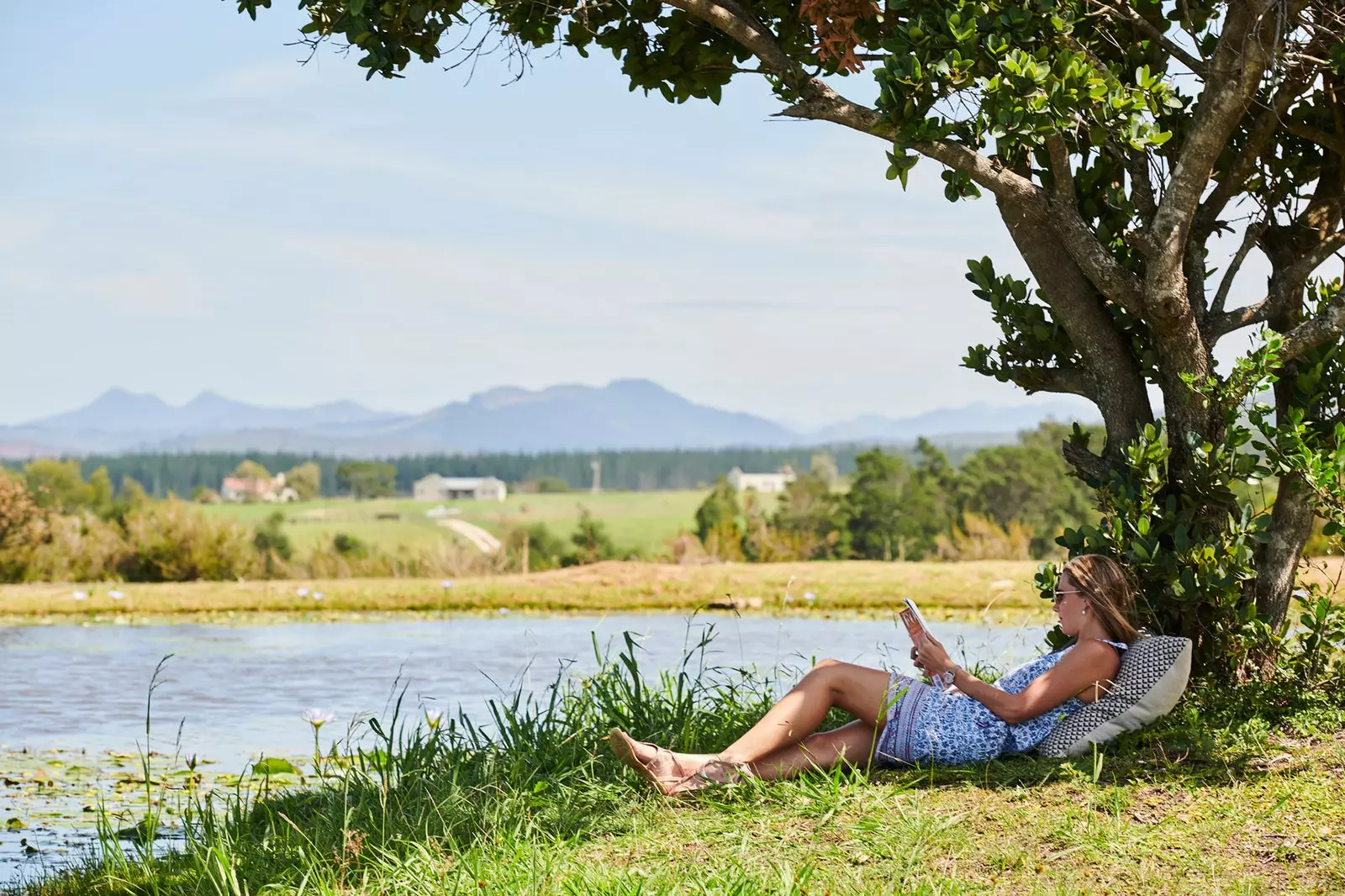 Donna che legge un libro sotto un albero e davanti a un lago