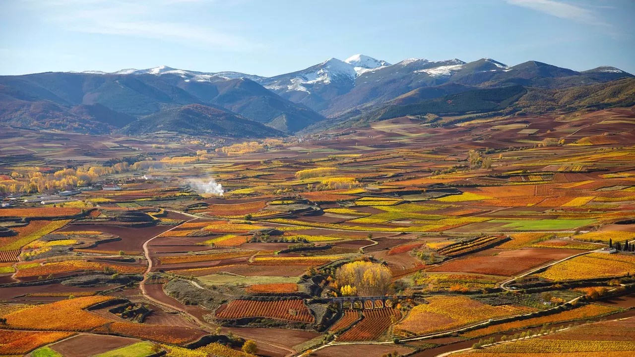 Dove apriresti una bottiglia di Rioja?