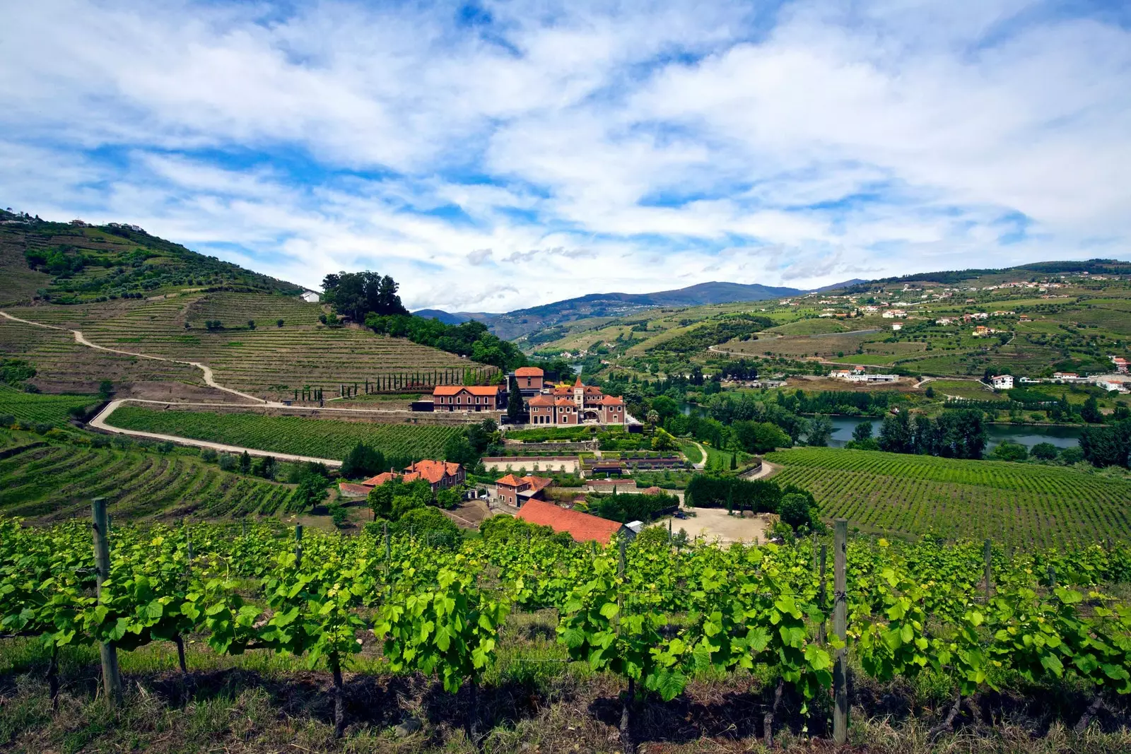 Olti sezgi Douro vodiysi