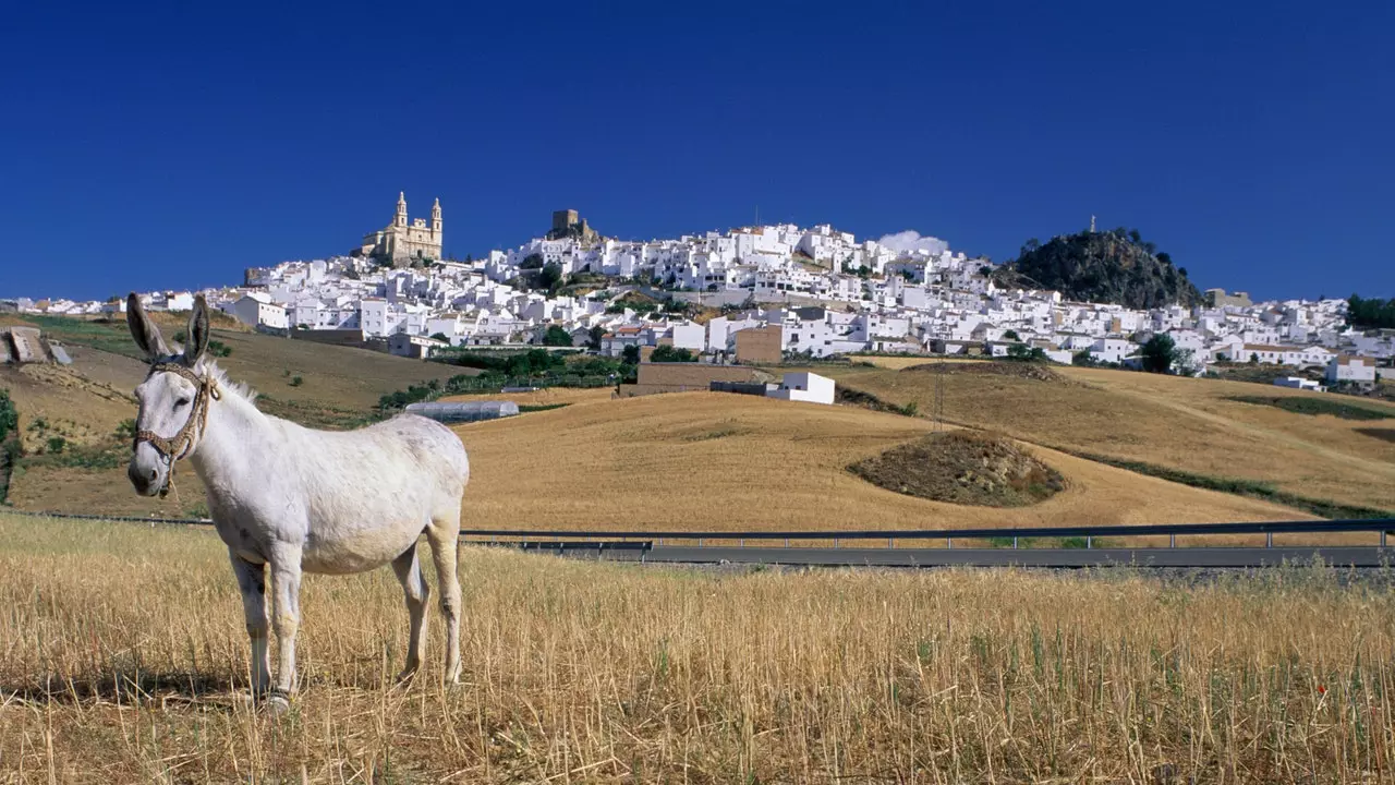 Aké bude hlavné mesto vidieckeho turizmu v roku 2021? tu sú kandidáti