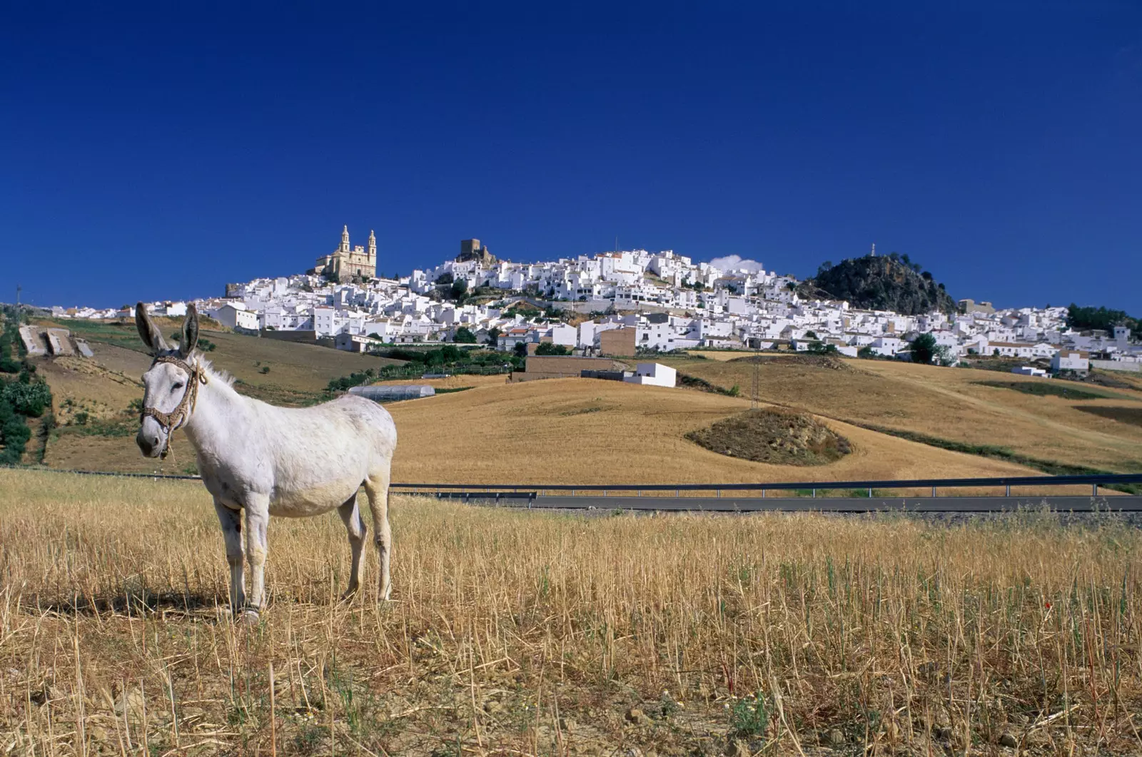 Što će biti prijestolnica ruralnog turizma 2021