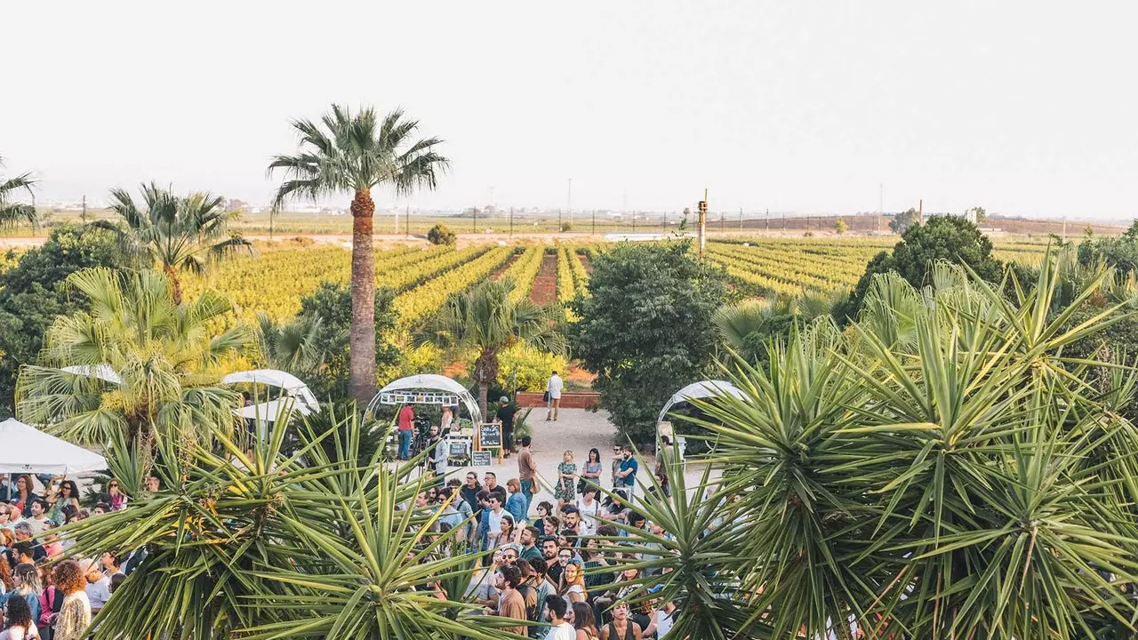 The indie music festival that takes place in a Valencian orchard