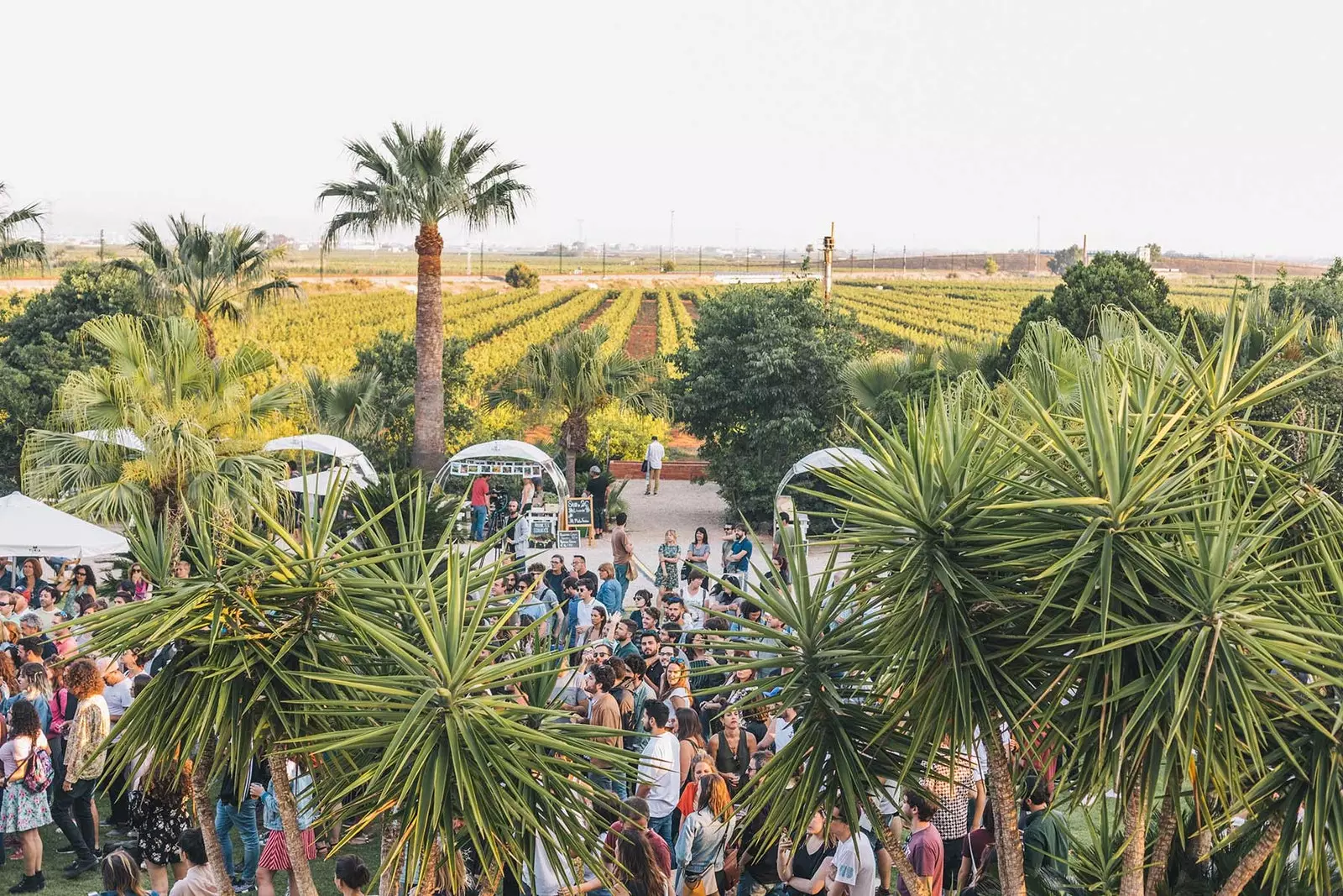 La Ferme de San Antonio de Benifaió