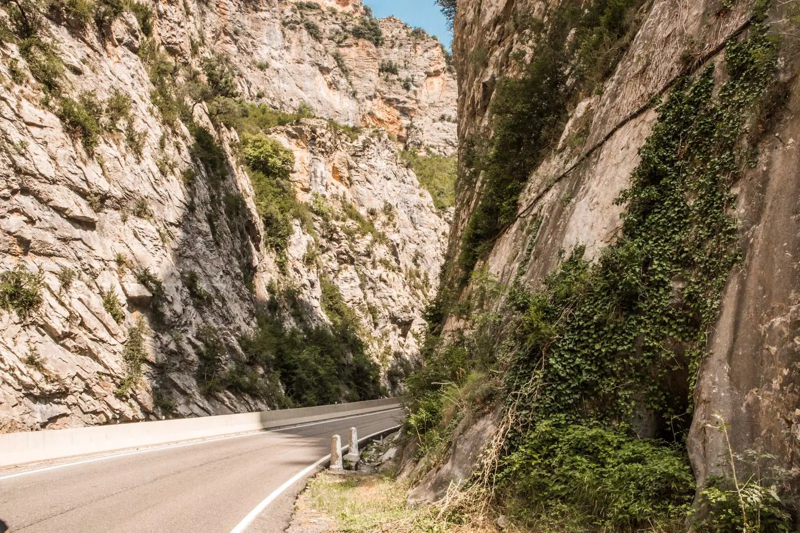 Pyrenees