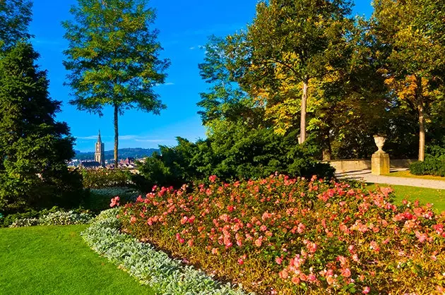 Verpassen Sie nicht den Rosengarten