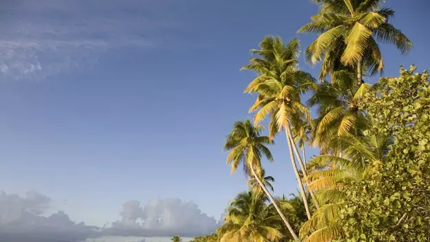 Puerto Riko Romantis: Rahasia Vieques