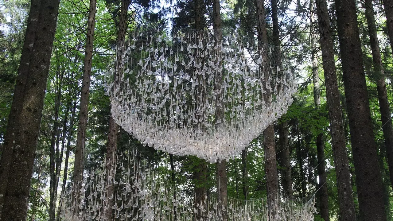 5 000 gouttes d'eau pendent de cette forêt italienne