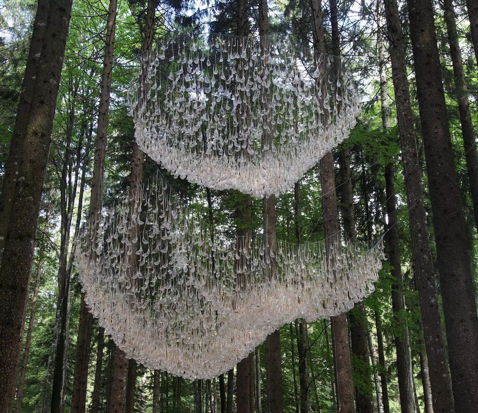 5 000 gouttes d'eau pendent de cette forêt italienne