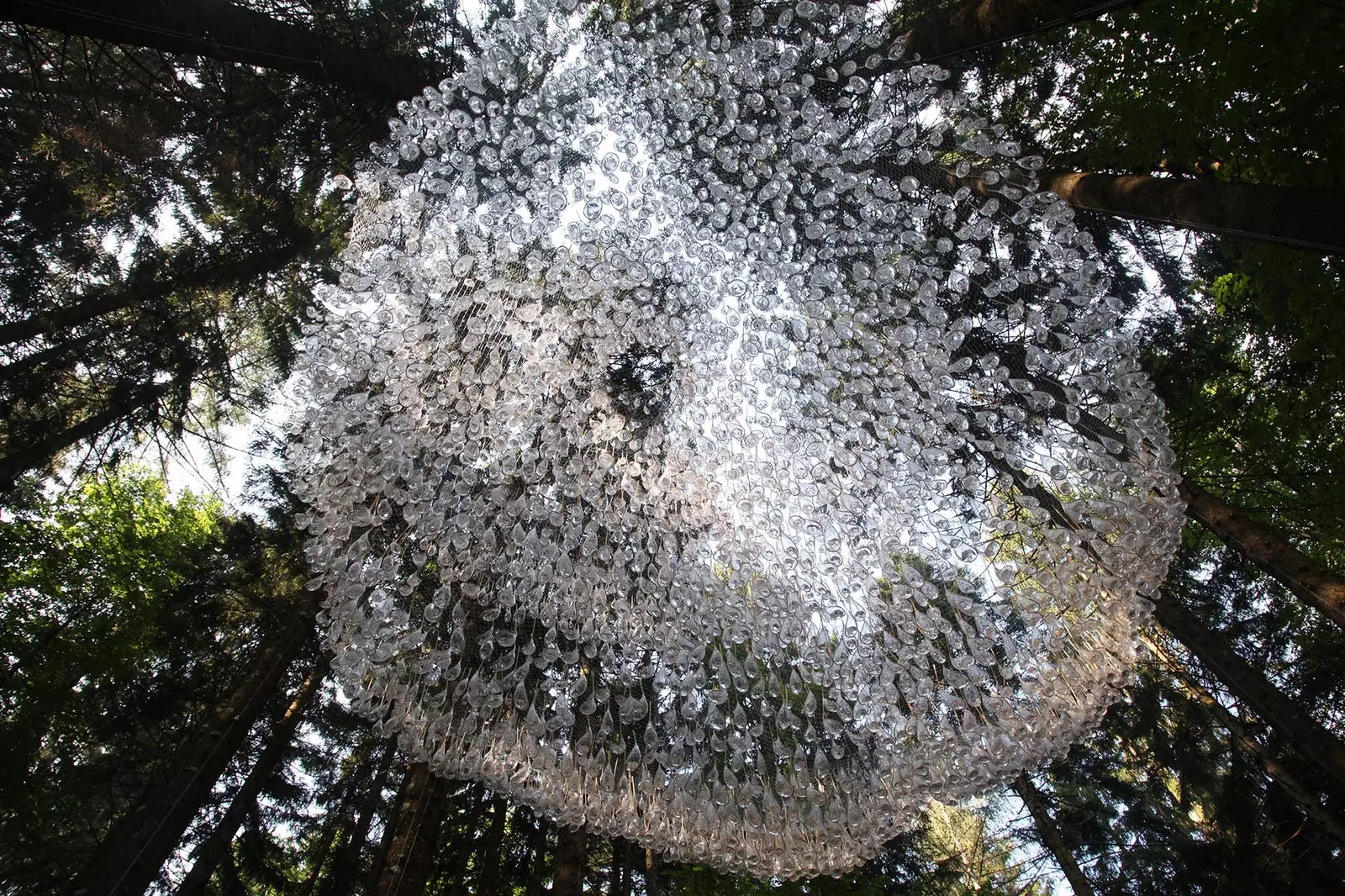 5 000 gouttes d'eau pendent de cette forêt italienne