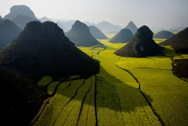 Dathaíonn plandálacha tae sléibhte Yunnan