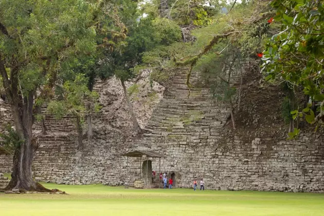 Copan . के माया खंडहर में खुद को खो दें