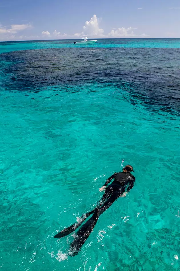 Her er snorkling obligatorisk