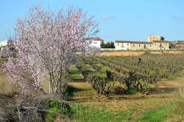 Tre itinerari per esplorare l'ovest di Barcellona