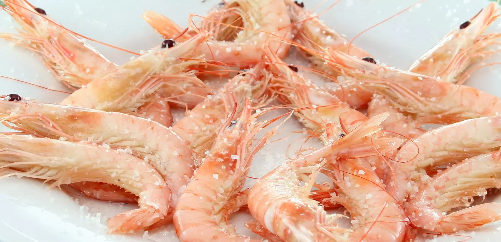 Jet Prawns