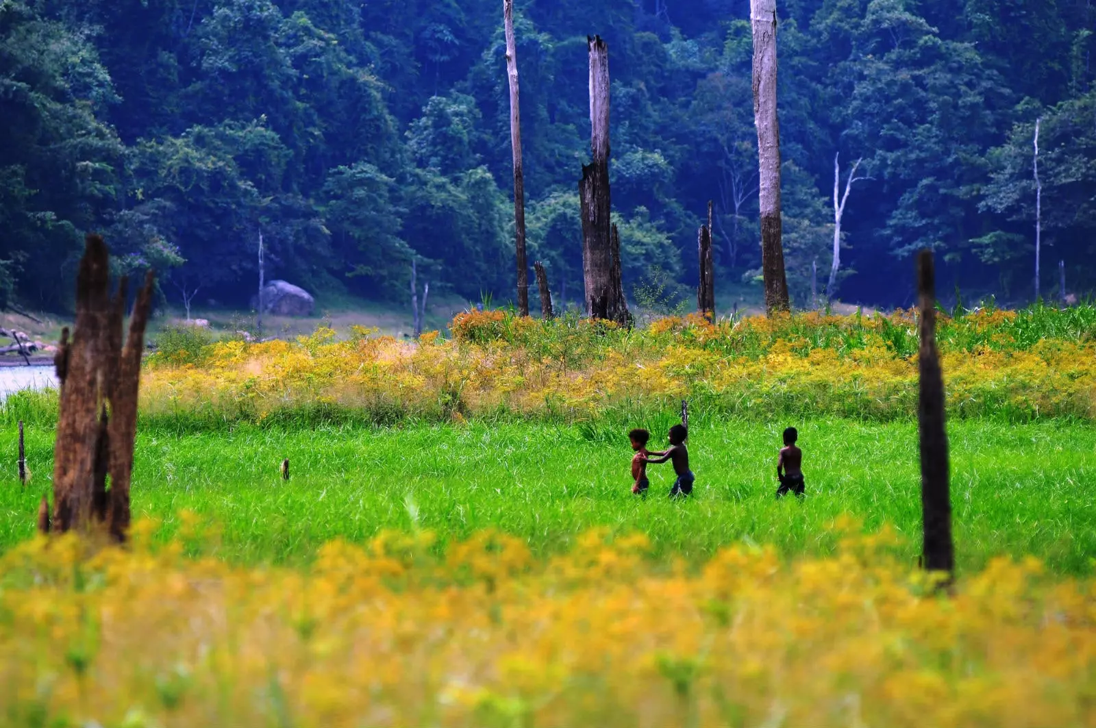 Malayziyadagi Belum Rainforest Resort.