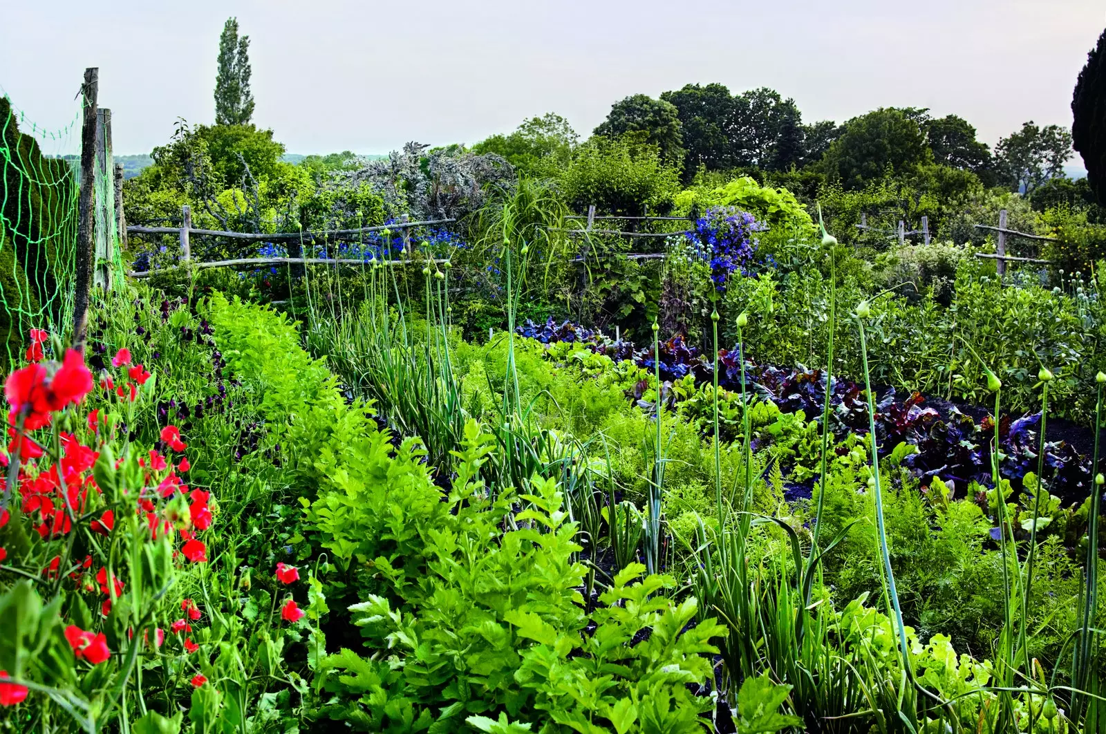 Detail of the lush orchard at Great Dixter tended by Aaron Bertelsen.